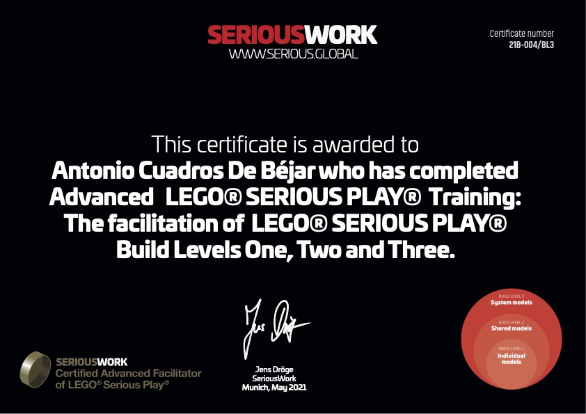 SERIOUSWORK Lego Serious Play Zertifikat - Systemmodelle